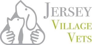 Jersey Village Vets