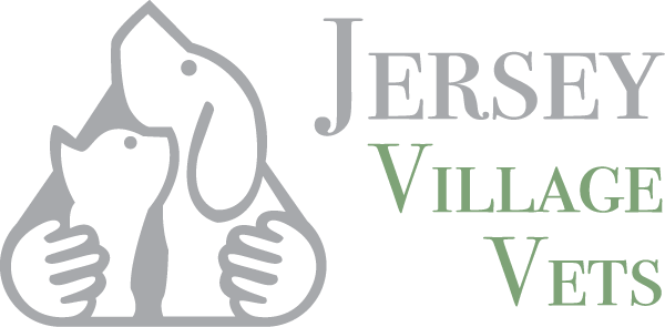 Jersey Village Vets